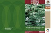 Metodología para determinar las existencias de orégano · 6. Tabla de producción de hoja seca de orégano (g) para el municipio de Parras de la Fuente Coahuila 14 7. Ventajas de