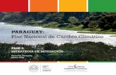 PARAGUAY - archivo.seam.gov.pyarchivo.seam.gov.py/sites/default/files/users... · IPCC Intergovernmental Panel on Climate Change LECRDS Estrategias de Desarrollo bajo en carbono y