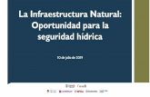 La Infraestructura Natural: Oportunidad para la seguridad hídrica · 2019-08-14 · 2. Iniciativas de inversión apoyadas a la fecha, aprendizajes Recuperación del servicio ecosistémico