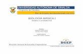 BIOLOGÍA BÁSICA Idgep.uas.edu.mx/programassemi/1_CUATRIMESTRE/6.pdf · Egresado del Bachillerato de la UAS, y al mismo tiempo con el Perfil de Egreso orientado en el marco de la