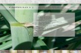 CAPÍTULO 1 | Características y ecofisiologíaeeaoc.org.ar/upload/publicaciones/archivos/52/...factores que interactúan en la definición de la capacidad productiva del cultivo en