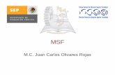 MSF [Modo de compatibilidad]dsc.itmorelia.edu.mx/~jcolivares/documents/msf.pdf · 2014-02-07 · • Clientes: MSF diferencia los conceptos de clientes y usuarios. En muchas aplicaciones