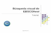 Búsqueda visual de EBSCOhost - DGES CUCEAdges.cucea.udg.mx/wordpress/wp-content/uploads/file/busvisual.pdf · de la pantalla Búsqueda visual, desde cómo realizar búsquedas mediante