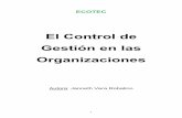 El Control de Gestión - Ecotec · planteado y en ese proceso el papel del control en la gestión empresarial reviste una importancia fundamental. El Control de Gestión en las Organizaciones