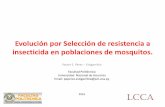 Evolución por Selección de resistencia a insecticida en ... · Modelado de resistencia a los insecticidas durante la infestación de poblaciones de Aedes por Wolbachia. Facultad