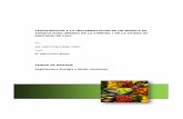 APROXIMACIÓN A LA IMPLEMENTACIÓN DE UN MODELO DE AGRICULTURA URBANA EN LA … · 2016-10-23 · APROXIMACIÓN A LA IMPLEMENTACIÓN DE UN MODELO DE AGRICULTURA URBANA EN LA COMUNA