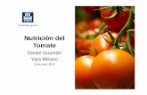 Nutrición del Tomate · Resumen de Nutrientes –Efectos en rendimiento y calidad INCREMENTO REDUCCIÓN NEUTRAL CUAJA DE FRUTO CRECIMIENTO DE FRUTO RENDIMIENTO MADURACIÓN FIRMEZA