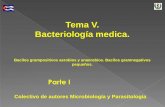Tema V. Bacteriología medica.uvsfajardo.sld.cu/.../files/...pequenos_parte_i.pdf · Objetivos Nombrar las bacterias según la nomenclatura binaria. Enumerar las características