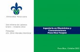 Ingeniería en Electrónica y Comunicaciones Poza …colaboracion.uv.mx/rept/files/2013-01/Informe-labores...1 Taller para la adecuación del Programa de trabajo 2009-2013 Programa