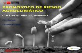 PRONÓSTICO DE RIESGO AGROCLIMÁTICO TRIMESTRE: … · 2018-12-10 · pronÓstico de riesgo agroclimÁtico trimestre: diciembre, 2018-febrero, 2019 servicio nacional de meteorologÍa
