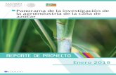 REPORTE DE PROYECTO - gob.mx€¦ · de-la-investigacion-de-la-agroindustria-de-la-cana-de-azucar Además de la Agenda Nacional de Investigación, el CONADESUCA ha puesto a disposición