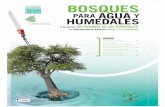 BOSQUES - Ramsar · 2015-03-17 · Nuestros folletos del DMH están dirigidos primordialmente a los actores principales del DMH de todo el mundo. El de este año pretende concienciar
