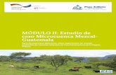 MÓDULO II: Estudio de caso Microcuenca Mezcal- Guatemala · IDH Índice de Desarrollo Humano IHCAFE Instituto Hondureño del Café KfW Kreditanstalt für Wiederaufbau (Cooperación