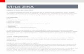 Virus ZIKA - Swiss medical · Es una enfermedad viral que se transmite por la picadura de mosquitos Aedes aegypti infectados, al igual que los virus Dengue y Chikungunya. ... eliminando