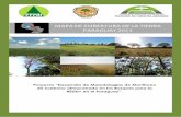 MAPA DE COBERTURA DE LA TIERRA PARAGUAY 2011chmparaguay.com.py/informaciones-ambientales/Datos sector forest… · en la provincia de Misiones y el Suroeste del Brasil. Ha sido identificado