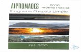 aipromades.orgaipromades.org/wp-content/uploads/2019/08/INFORME-PARCIAL-CH… · Ocotlán, Tizapán el Alto y Tuxcueca del Estado de Jalisco, y el 10 por ciento corresponde a los