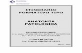 ITINERARIO FORMATIVO TIPO ANATOMÍA PATOLÓGICAosaraba.eus/wp-content/uploads/2020/03/2020-ift-anatomia-patologi… · quirúrgica en el Hospital Santiago al que haremos referencia