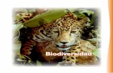 Biodiversidad - WordPress.com€¦ · santuarios y la formación de subcomités para la Conservación, Manejo y Aprovechamiento Sustentable de las Especies Prioritarias, los cuales