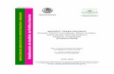 rior - diputados.gob.mx · SAPI-ISS-40-14 SIS rior MADRES TRABAJADORAS Estudio Teórico Conceptual, Marco Jurídico, Instrumentos Internacionales y Derecho Comparado (Primera Parte)
