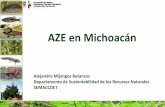 AZE en Michoacán - biodiversidad.gob.mx€¦ · La diversidad biológica de Michoacán •De acuerdo con los datos generados por investigadores de las instituciones estatales, existen