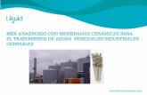 MBR ANAEROBIO CON MEMBRANAS CERÁMICAS PARA EL …€¦ · influente en los reactores de lecho granular Clogging de biofiltrosanaerobios La retención de la biomasa no depende de
