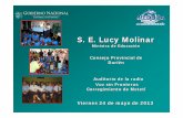 S. E. Lucy Molinarmeduca.gob.pa/sites/default/files/2015-12/CPDARIEN.pdf · •10 proyectos de granjas para gallinas ponedoras por un valor deB/. 3,468.00 •46Huertos Escolares beneficiando