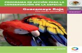 Guacamaya Roja - Conanp · por Veracruz, Oaxaca, Tabasco, Campeche y Chiapas (Ridgely, 1981; Howell y Webb, 1995). Sin embargo, la guacamaya roja desapareció del sur de Tamaulipas