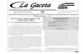 LLa Gacetaa Gaceta - SEFIN … · incremento significativo en la magnitud de las inversiones y de las transacciones comerciales, como la de los servicios a nivel internacional. Aunado