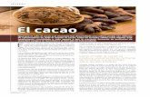  · Cenizas de cáscora de cacao Jugo de Cacao Polvo de Cacao Pasta o licor de Cacao Usos del Cacao y sus derivados Elaboración de chocolate g conflteria, y también puede ser usado