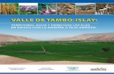 VALLE DE TAMBO-ISLAY - CooperAccióncooperaccion.org.pe/wp-content/uploads/2019/07/Libro_Valle_de_Ta… · minería a tajo abierto” presenta los principales resultados del estudio
