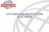 SISTEMAS DE PROTECCIÓN ELÉCTRICA€¦ · Los productos están destinados a la conversión de la tensión y la calidad de la energía eléctrica para ofrecer una gama de productos