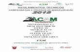 CAM RT 2018 13-08-2018 RT 2018 13-… · reglamento tÉcnico c.a.m. 2018 / open 10 1 reglamentos tÉcnicos campeonatos y trofeos de minivelocidad minimotos 4.2 mini motard 90 open