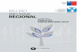 BÍO BÍO INFORME REGIONAL - Inicio - Bio Bíobiobio.mineduc.cl/wp-content/uploads/sites/12/2016/10/InformeCPP... · Cuenta Pública de la autoridad, con trabajo en mesas de discusión,