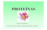 PROTEÍNAS - Galiciacentros.edu.xunta.es/iesoteropedrayo.ourense/dptos/bio/bach_2_bio_… · PÉPTIDOS NATURALES Insulina e glucagónhormonas que regulan a concentración de glicosa