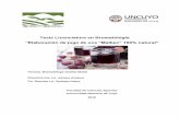 Tesis Licenciatura en Bromatología - UNCUYO · Tesis Licenciatura en Bromatología “Elaboración de jugo de uva “Malbec” 100% natural” Tesista: Bromatóloga Violeta Muñiz