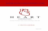 HEART LABORATORY.COM ¡lvula Mitral.pdf · Se origina en la mitad superolateral derecha y anterior del orificio aurículoventricular, frente al tabique interventricular y al orificio