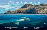 Isla de Malpelo - Buceo y Viajes2).pdf · Isla de Malpelo Paraiso de los tiburones Martillo Una pequeña y apartada isla en medio del océano Pacífico, situada en uno de los vértices