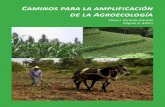 Caminos para la amplificación de la Agroecologí · PDF file y la resiliencia, de modo que puedan difundirse y expandirse ampliamente, tanto en cantidad de agricultores como a una