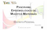 PANORAMA EPIDEMIOLÓGICO DE MUERTES MATERNAS€¦ · están en proceso de estudio • 130 defunciones (94%) se han notificado en la Plataforma de Muertes Maternas • 85 expedientes