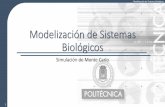 Modelización de Sistemas Biológicos · Modelización de Sistemas Biológicos Un Poco de Historia •Transformar los problemas analíticos en un problema estocástico (aleatorio)