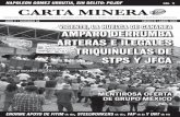 pág. 11 CARTA MINERA - Sindicato Minero · DIRECTORIO E. l gremio minero trabajador rindió el pasado 20 de abril un home-naje luctuoso a los dos compa- ñeros -Héctor Álvarez