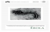 LINEAMIENTOS ESTANDARIZADOS PARA LA VIGILANCIA ...hrovirosa.gob.mx/Rovirosa/descargas/chuk-ebol/lineamientos... · La Enfermedad por el Virus del Ébola es un padecimiento contagioso