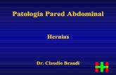 Patología Pared Abdominal - Hospital Italiano de Buenos Aires€¦ · Contribuciones de Bassini • Apertura completa aponeurosis del oblicuo mayor • Diferenciación entre defectos