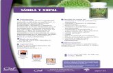 SÁBILA Y NOPAL - cardi.co DIGESTIVO/SA… · tonificador. Pertenece a la familia de las liliáceas y es considerado uno de los mayores regeneradores celulares que ha dado la naturaleza.