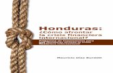 Honduras - FOSDEH · Honduras: la demanda de materias primas, el comercio, las medidas proteccionistas, las inversiones extranjeras, el turismo, las remesas, los préstamos, la cooperación