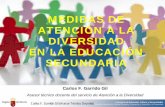 Carlos F. Garrido Gil Asesor Técnico Docente MEDIDAS DE ...€¦ · objetivos, contenidos y criterios de evaluación del currículo, a fin de atender al alumnado con necesidades