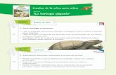“L“La tortuga gigante”laestacioneditora.com/wp-content/uploads/2019/02/10MHL509-Fich... · • Averigüen cómo es la vida en una selva: qué animales habitan en ella y qué