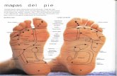 mapas del pie€¦ · mapas del pie Los pies tienen unas estructuras extraordinarias. Cada pie está constituido por 26 huesos (entre los dos pies poseen una cuarta parte