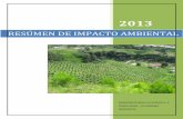 RESÚMEN DE IMPACTO AMBIENTAL - Agroindustrias La Floridaagroindustriaslaflorida.com/data/documents/RESUMEN-DE-IMPACTO... · 5.1.4 Presencia de viviendas y actividades humanas Al