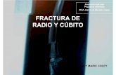 Prof. José Luis Morales López FRACTURA DE RADIO Y CÚBITO€¦ · - Perro presenta una fractura situada en los 2/3 distales del radio y cúbito de la extremidad anterior izquierda.